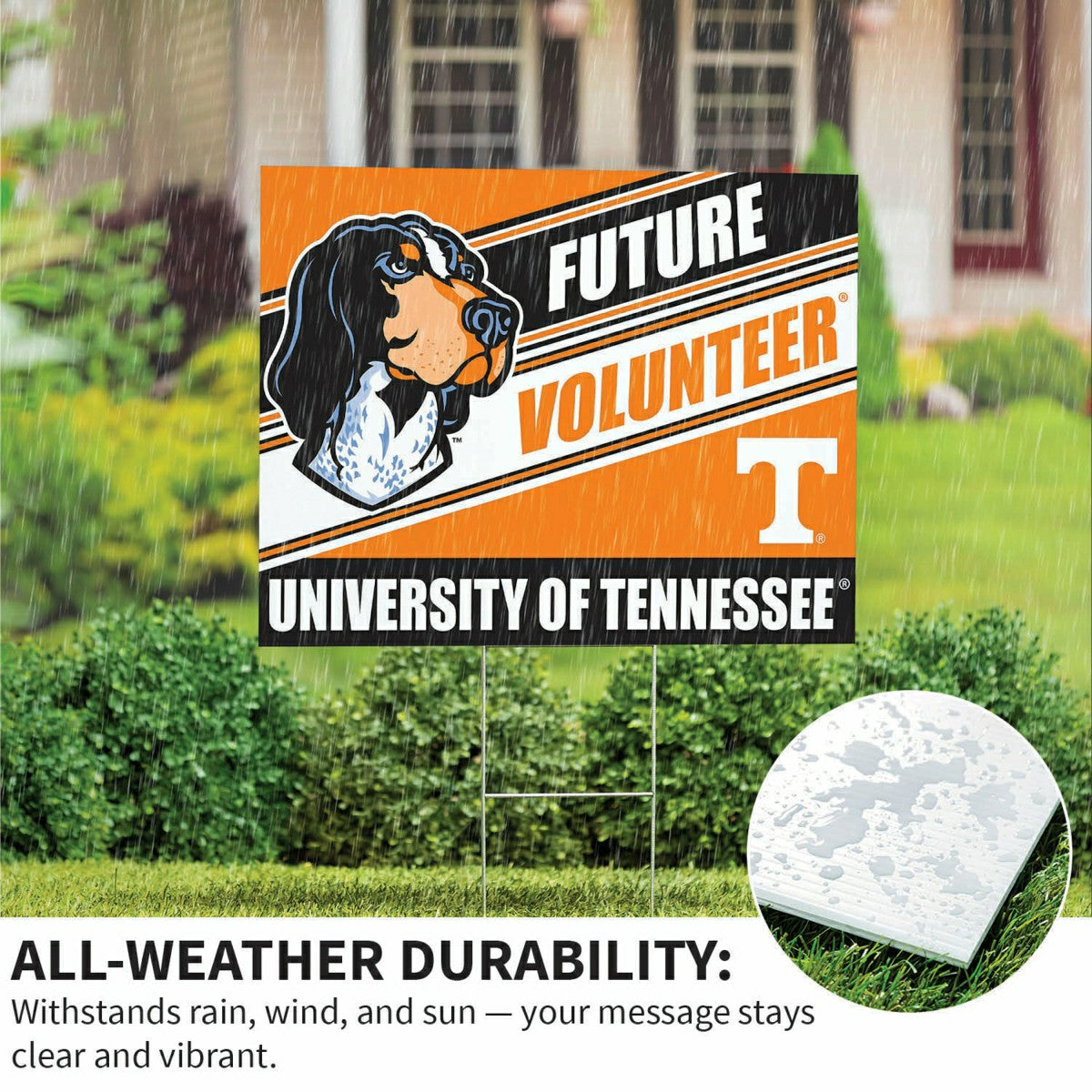 University of Tennessee Coroplast Yard Sign, Future Student