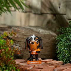Lil Big Head Statue, Mascot, University of Tennessee