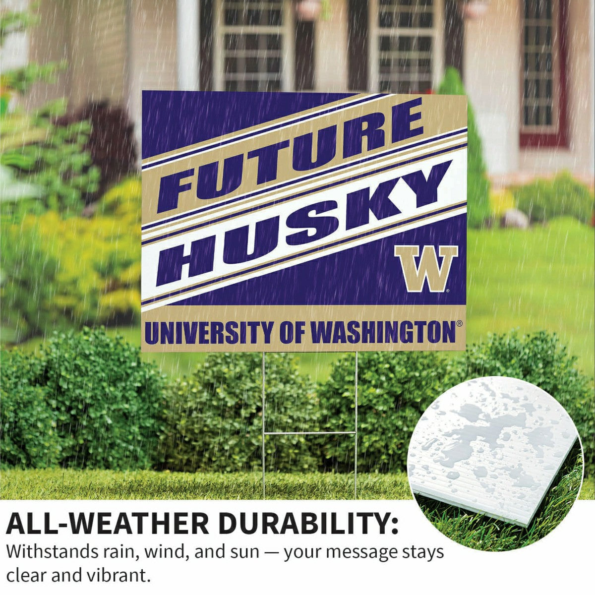 University of Washington Coroplast Yard Sign, Future Student