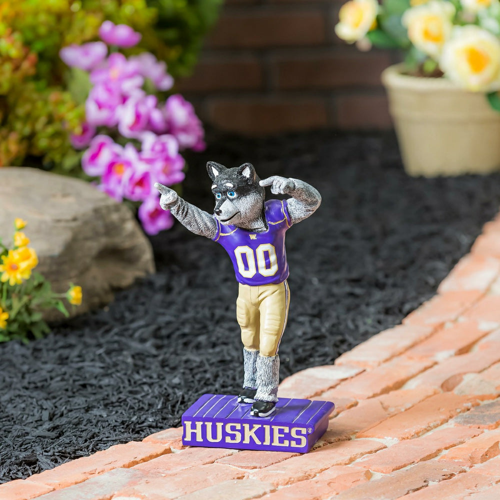 University of Washington Huskies, Mascot Statue