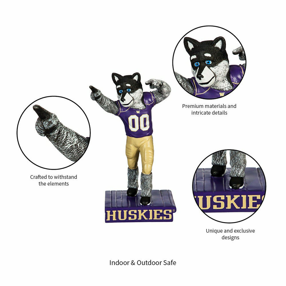 University of Washington Huskies, Mascot Statue