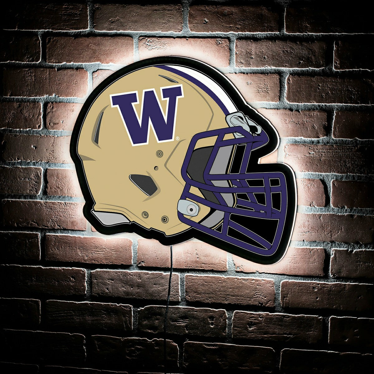 LED Wall Decor, Helmet, University of Washington