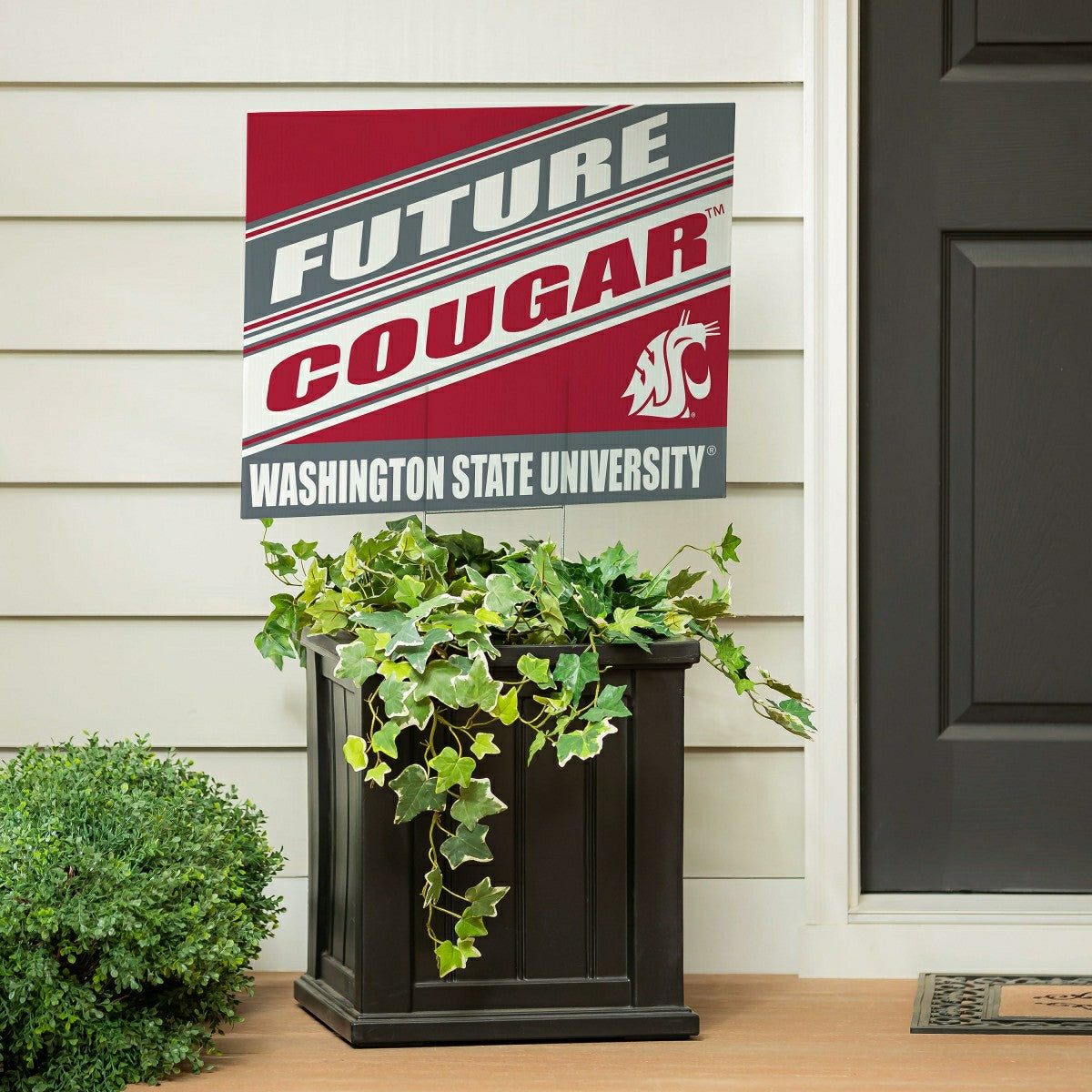 Washington State University Coroplast Yard Sign, Future Student