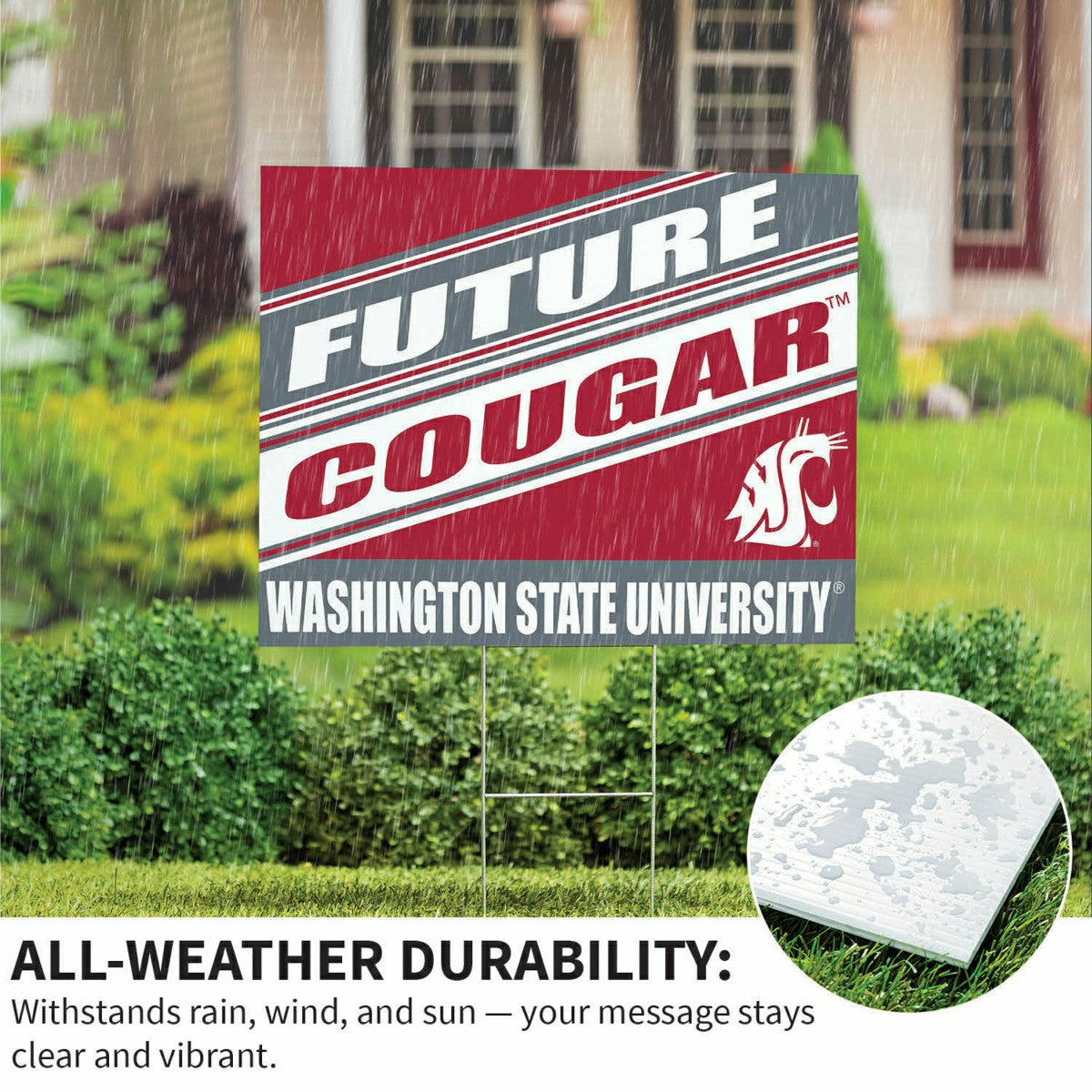 Washington State University Coroplast Yard Sign, Future Student