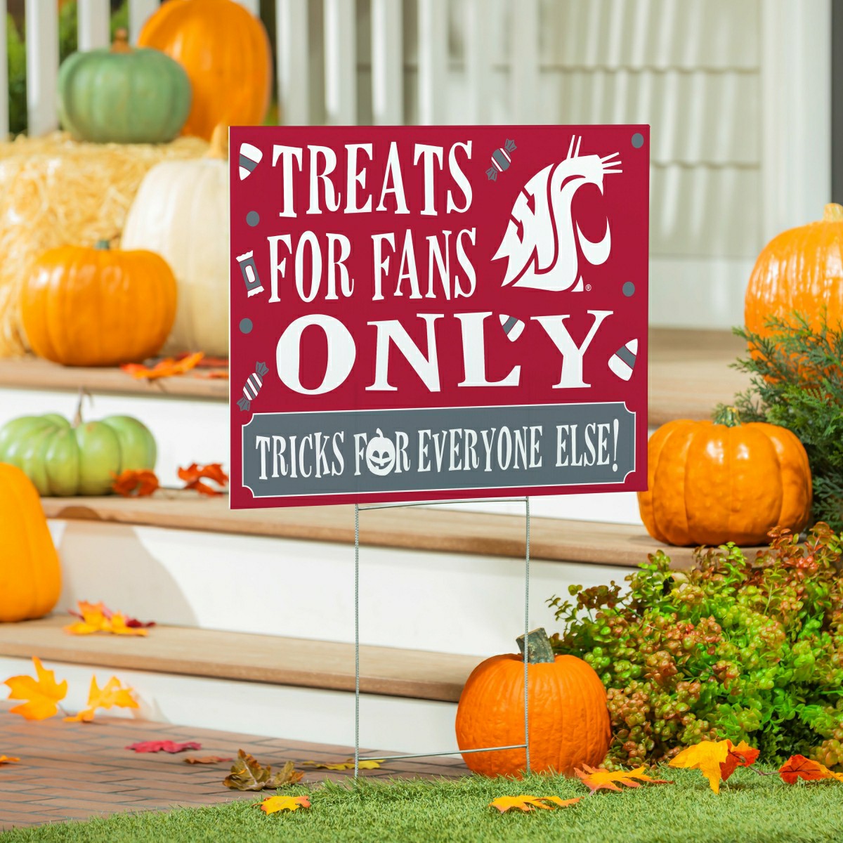 Washington State University Yard Sign, Halloween Treats for Fans