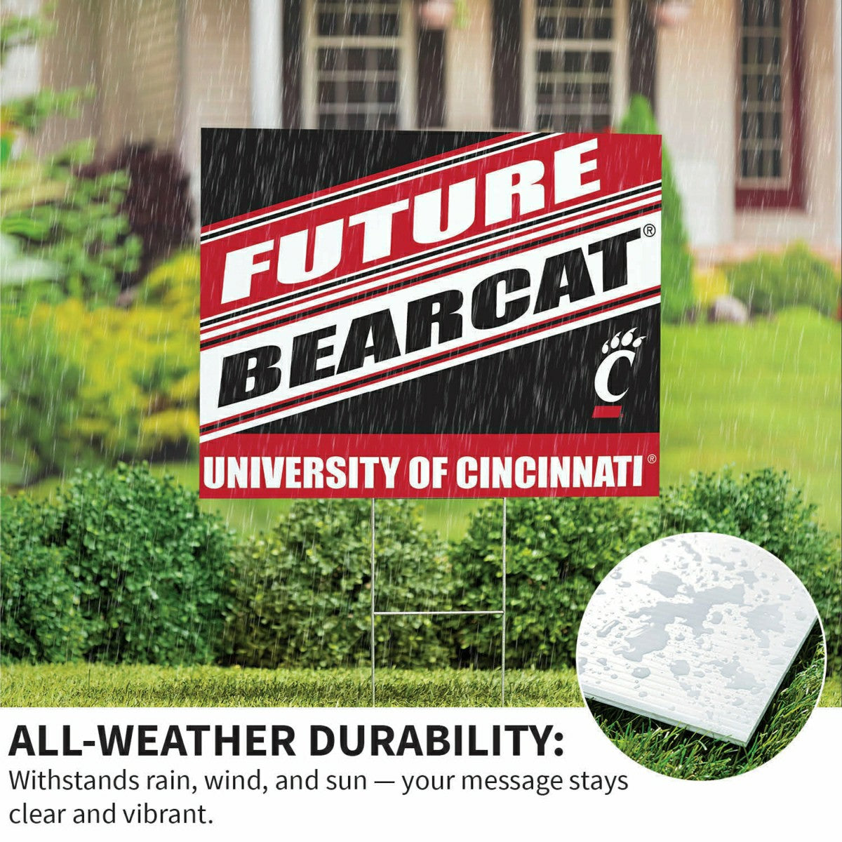 University of Cincinnati Coroplast Yard Sign, Future Student