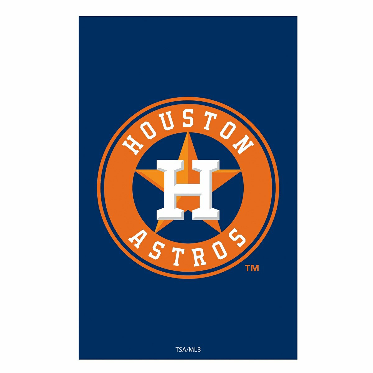 Houston Astros Appliqué House Flag