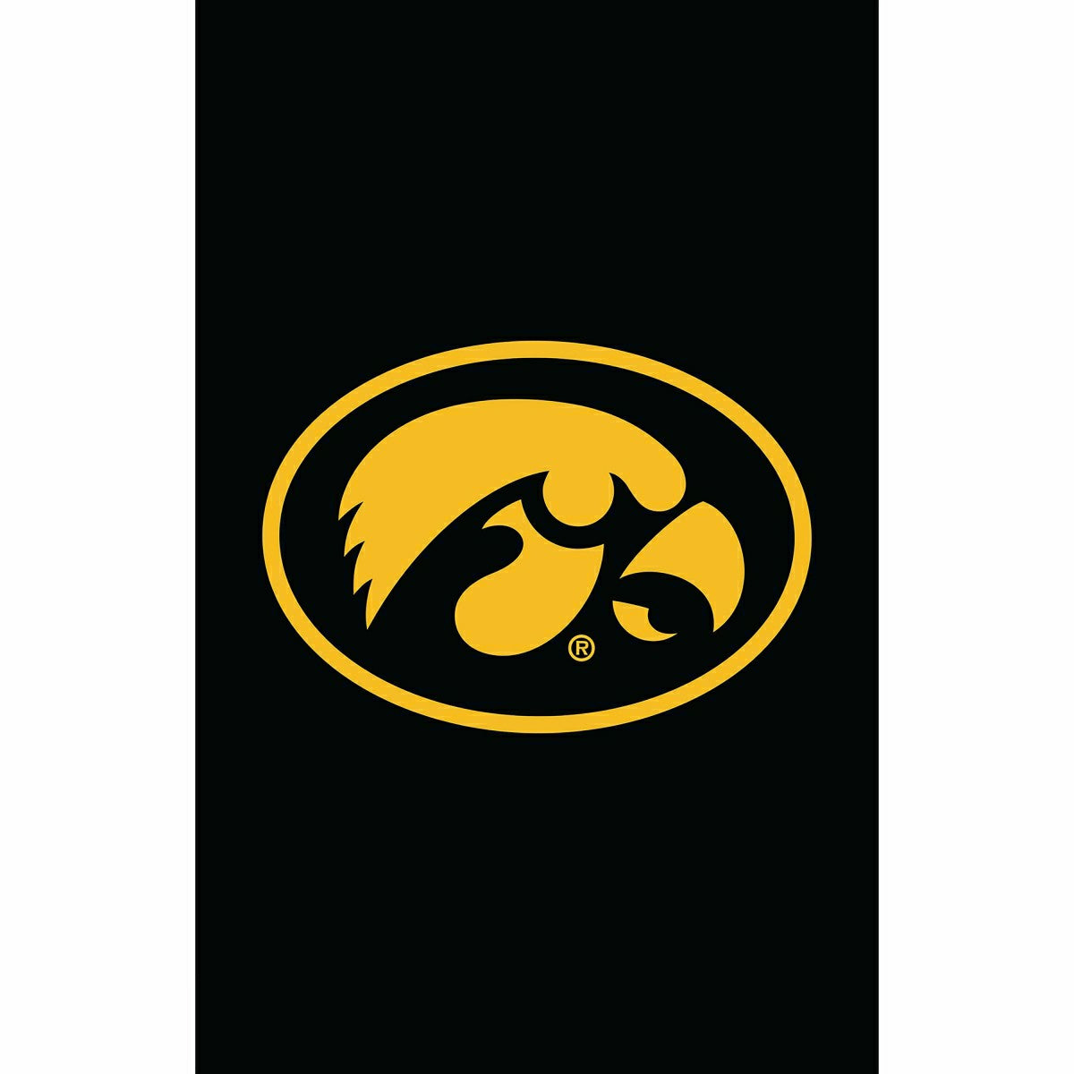 University of Iowa Applique House Flag
