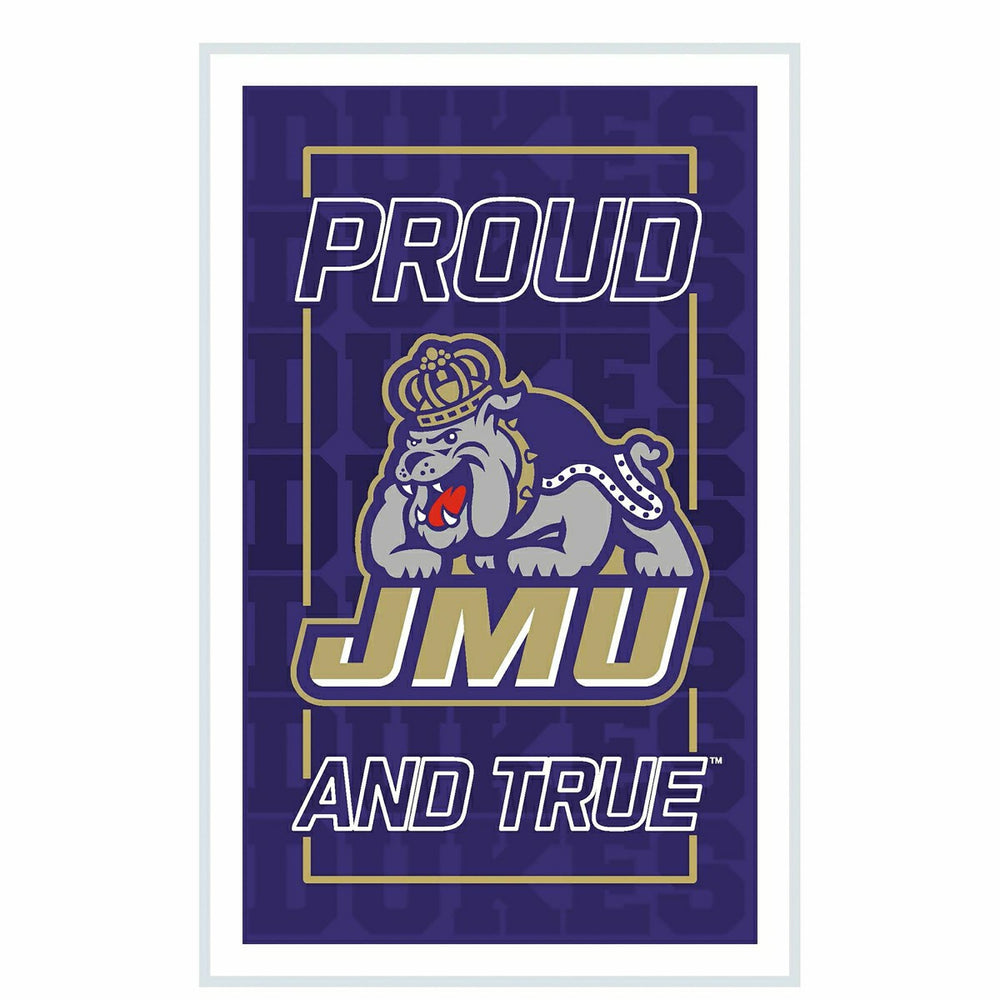 James Madison University College Rectangle Neolite LED Decor