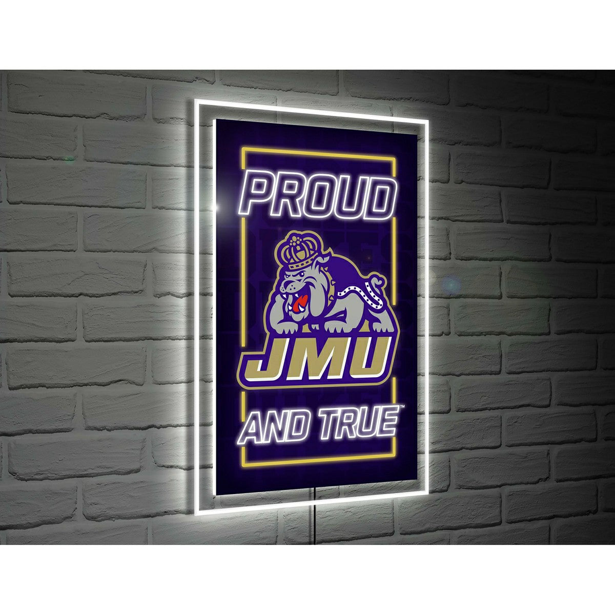 James Madison University College Rectangle Neolite LED Decor