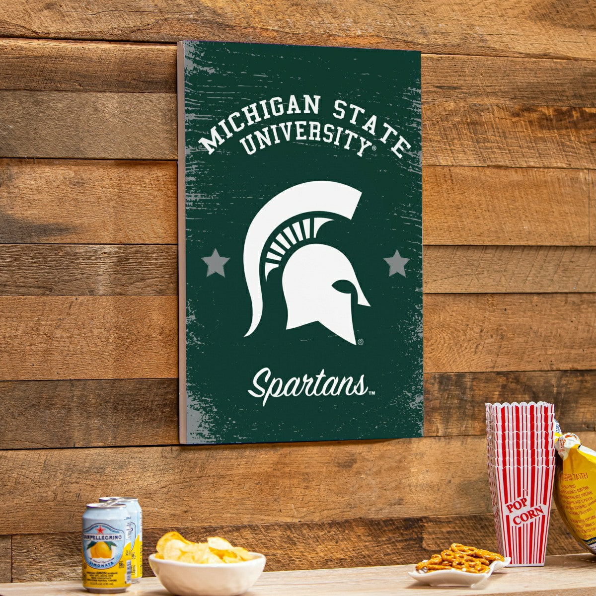 Michigan State University Wood Wall Sign, 16x24