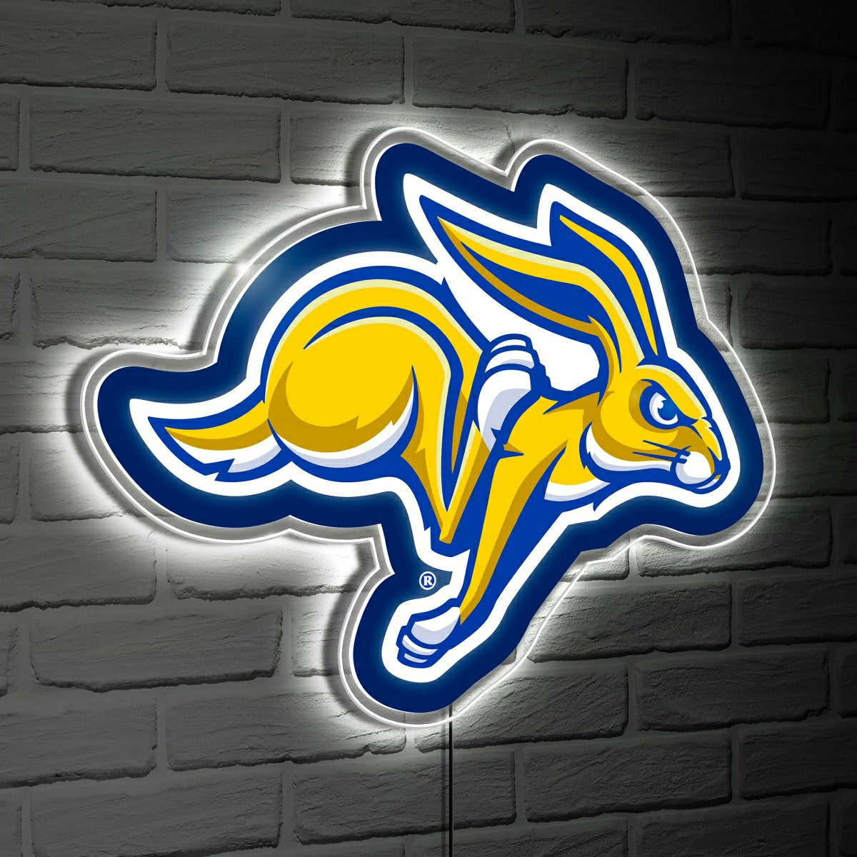 LED Wall Decor, Glazelite, College Mascot, South Dakota State Universi