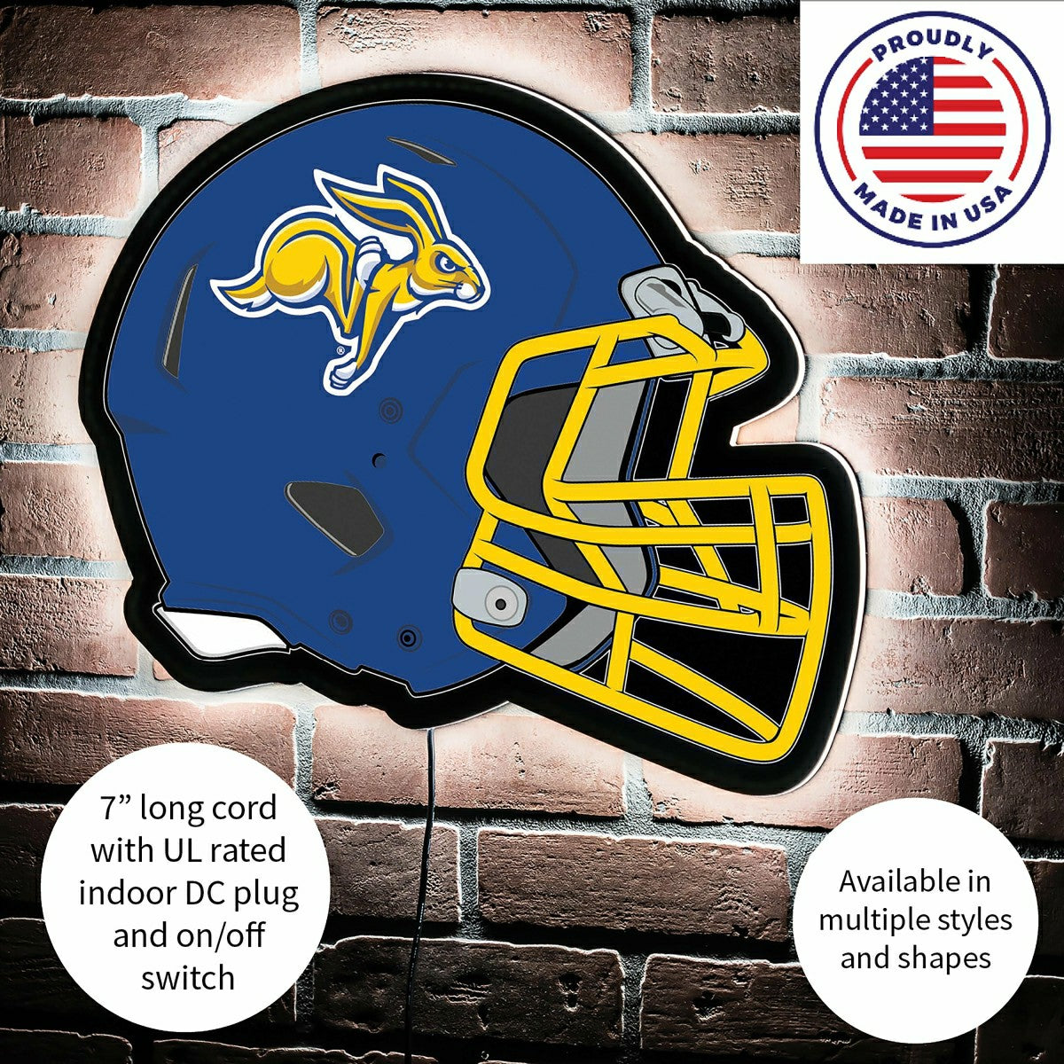 LED Wall Decor, Helmet, South Dakota State University