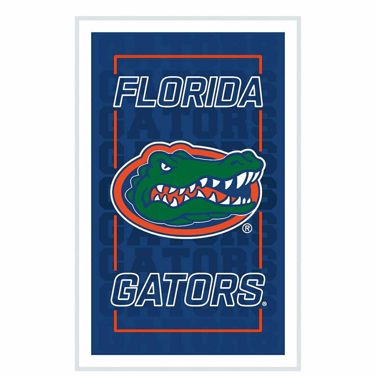 University of Florida College Rectangle Neolite LED Decor