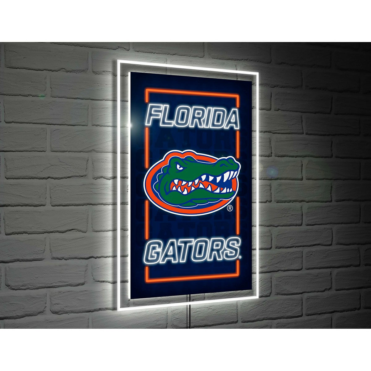 University of Florida College Rectangle Neolite LED Decor