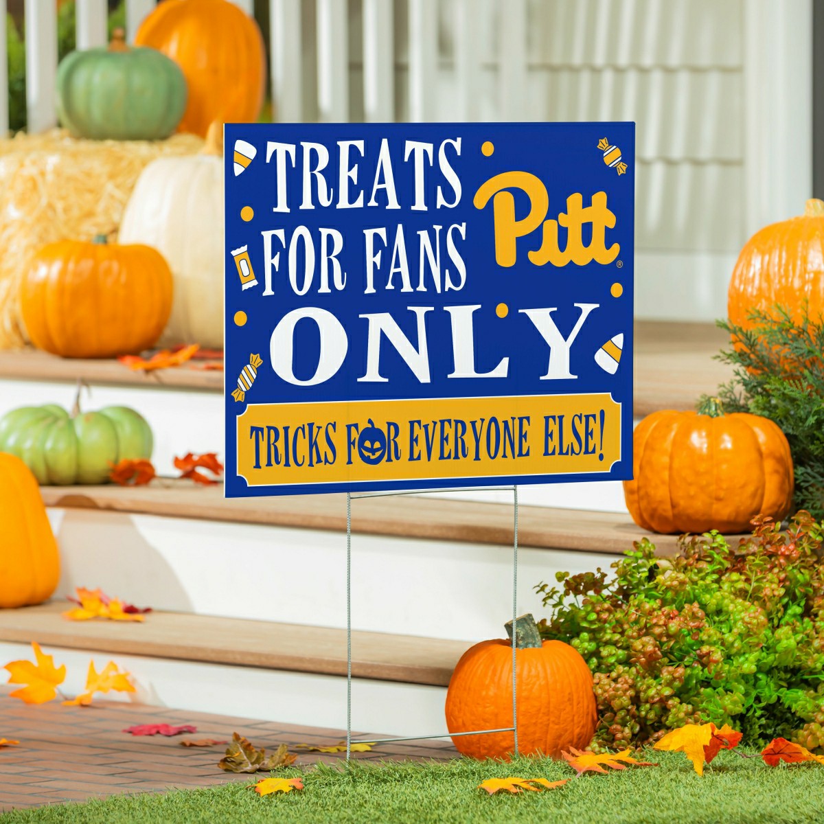 University of Pittsburgh Yard Sign, Halloween Treats for Fans