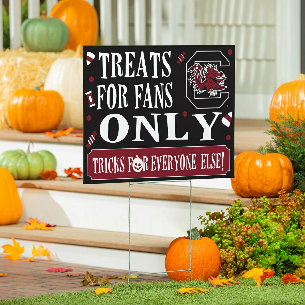 University of South Carolina Yard Sign, Halloween Treats for Fans
