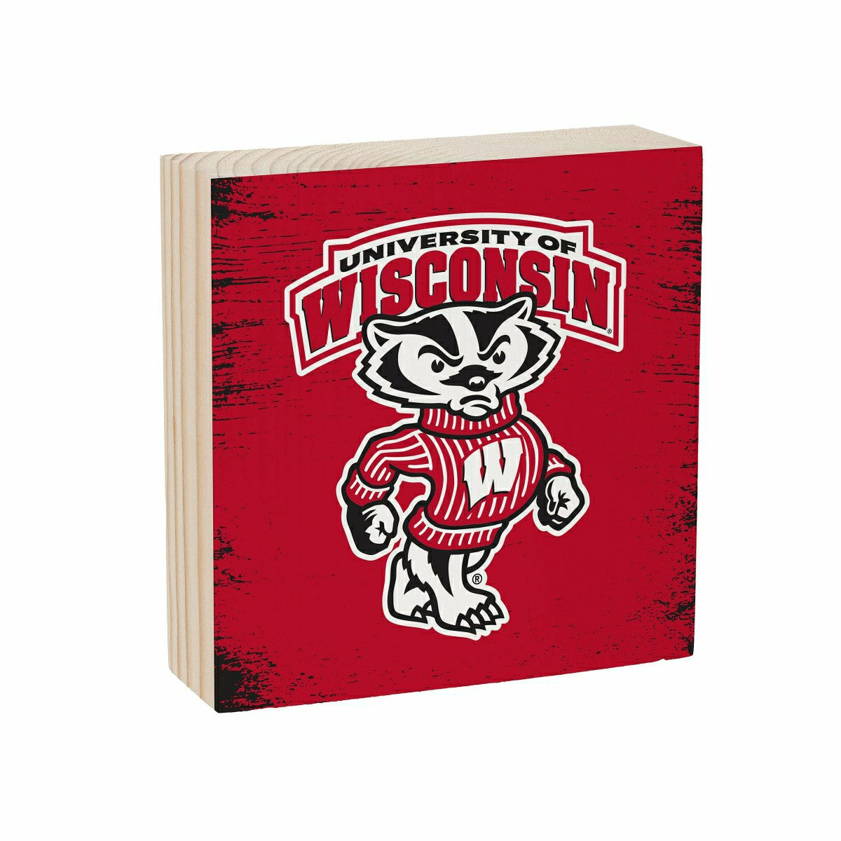 University of Wisconsin-Madison Plock, Down Home Fans, 6x6
