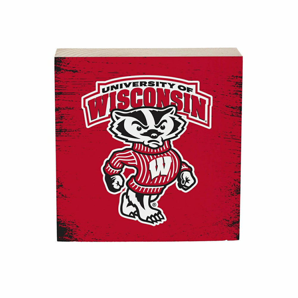 University of Wisconsin-Madison Plock, Down Home Fans, 6x6