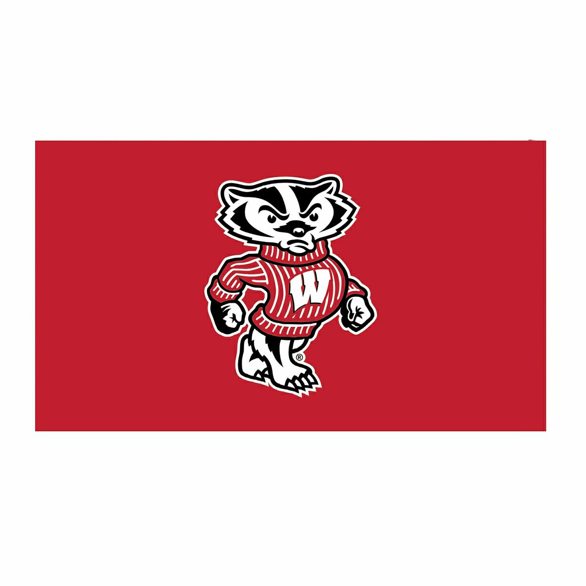 Full Color PVC Mat, 16" x 28", University of Wisconsin-Madison