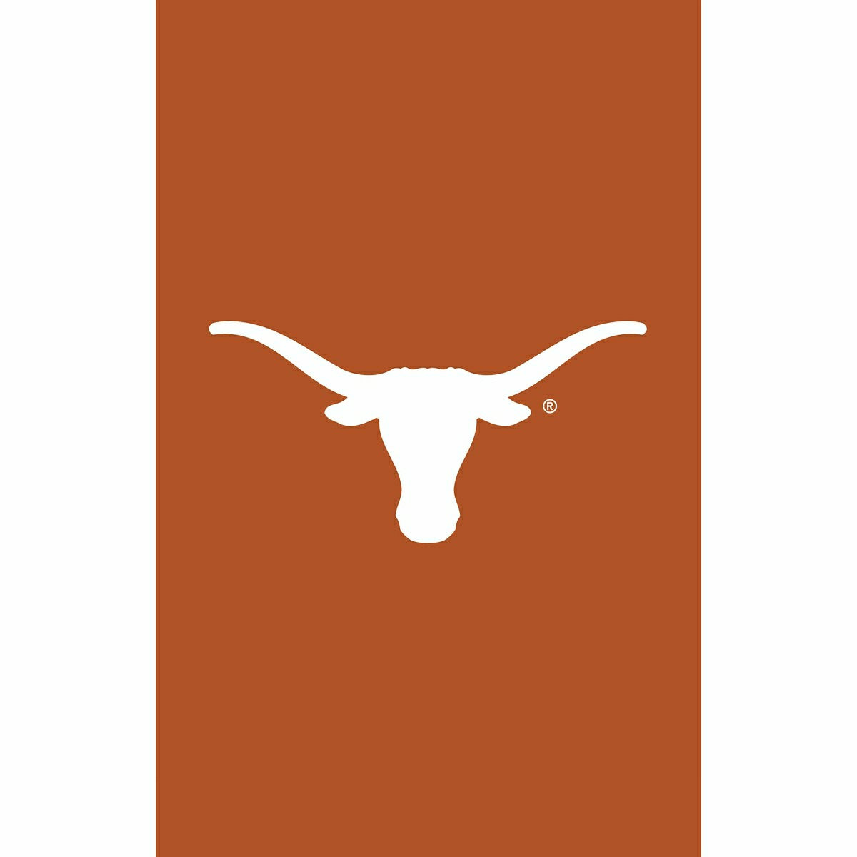 University of Texas Applique House Flag