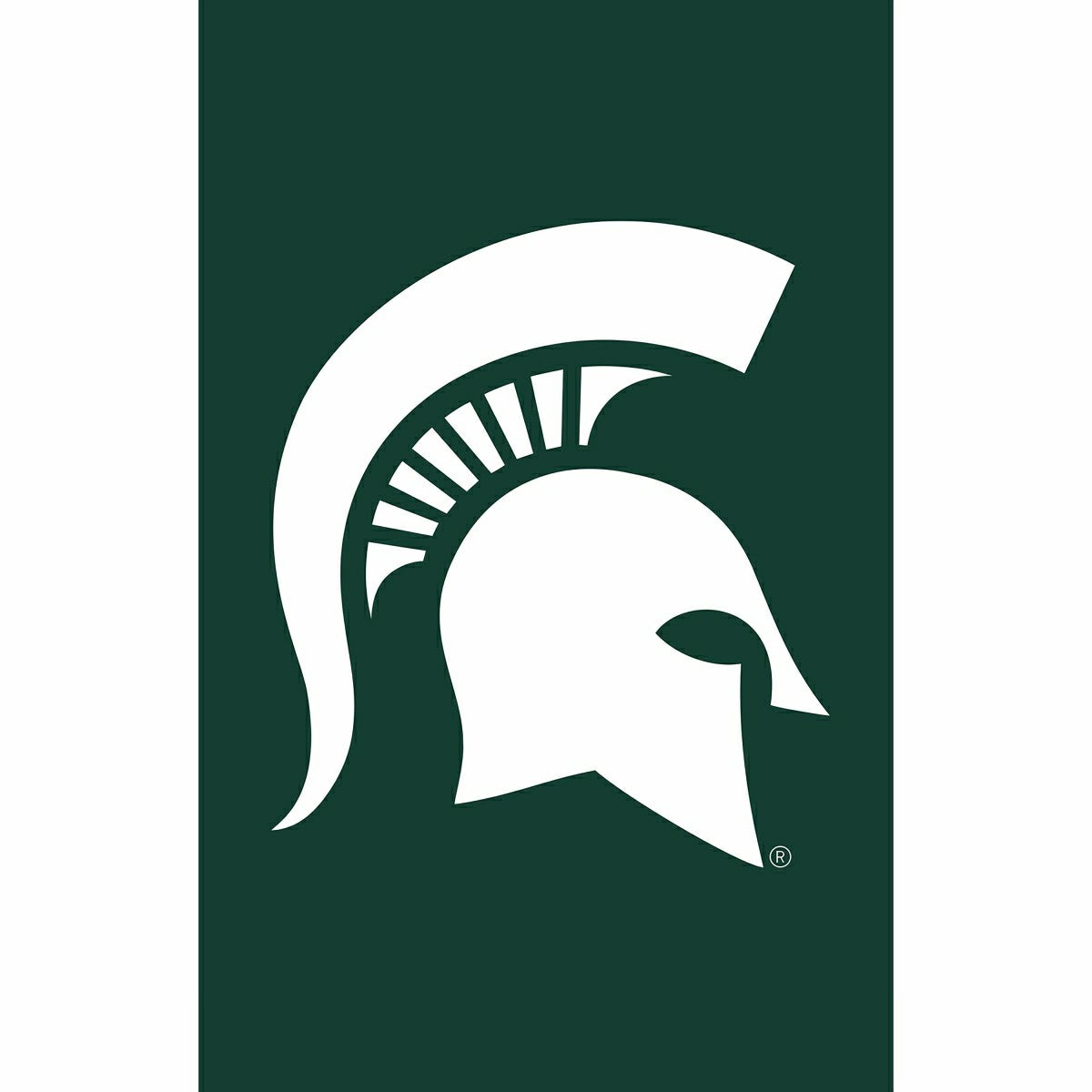 Michigan State University Applique House Flag