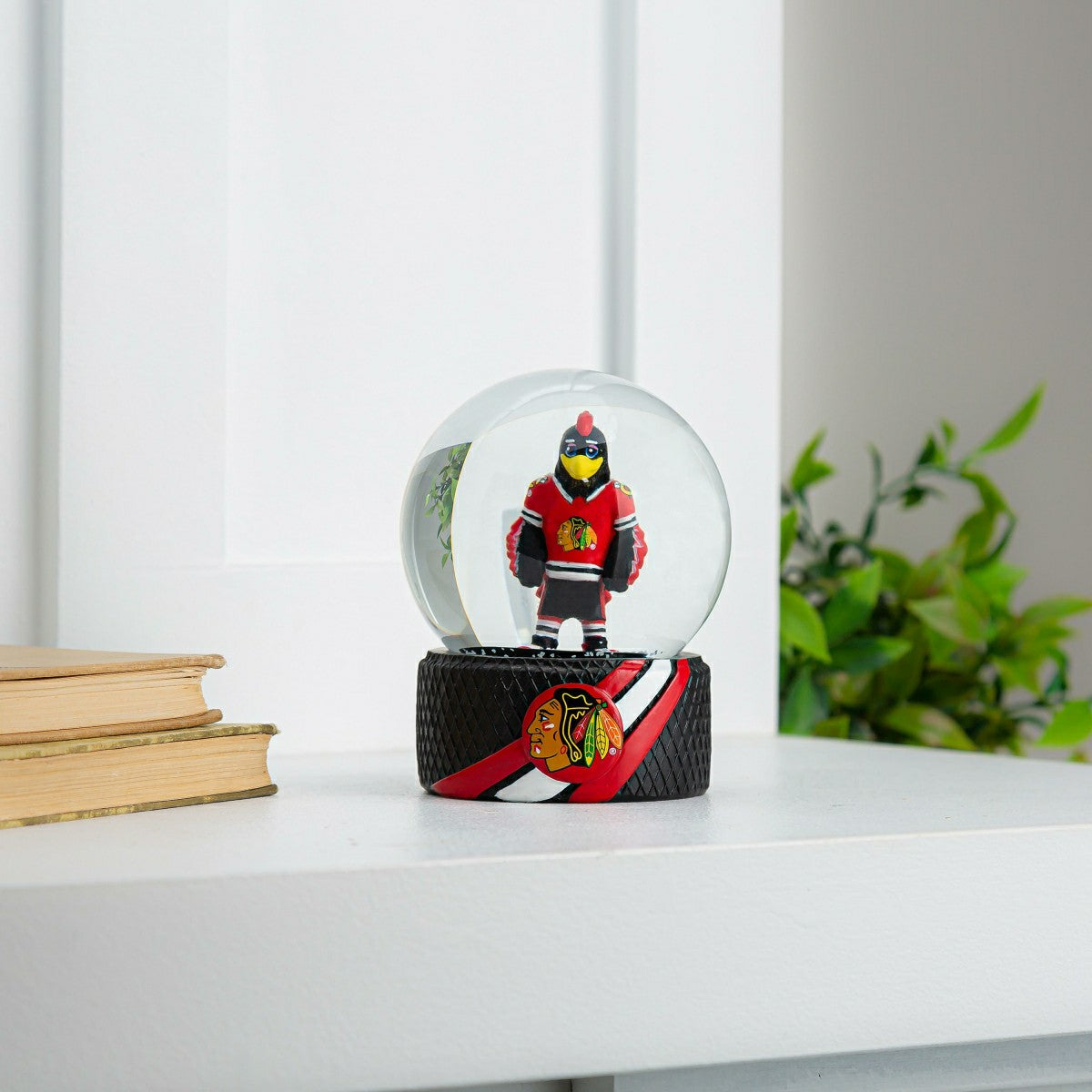 Water Globe, Chicago Blackhawks