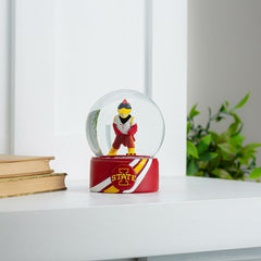 Iowa State Water Globe