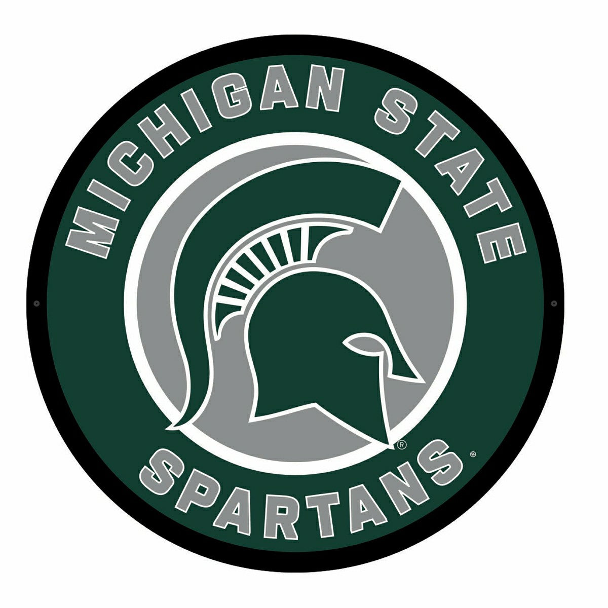 LED Wall Decor, Round, Michigan State University