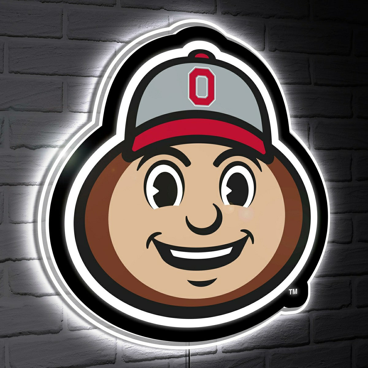 LED Wall Decor, Glazelite, College Mascot, Ohio State University