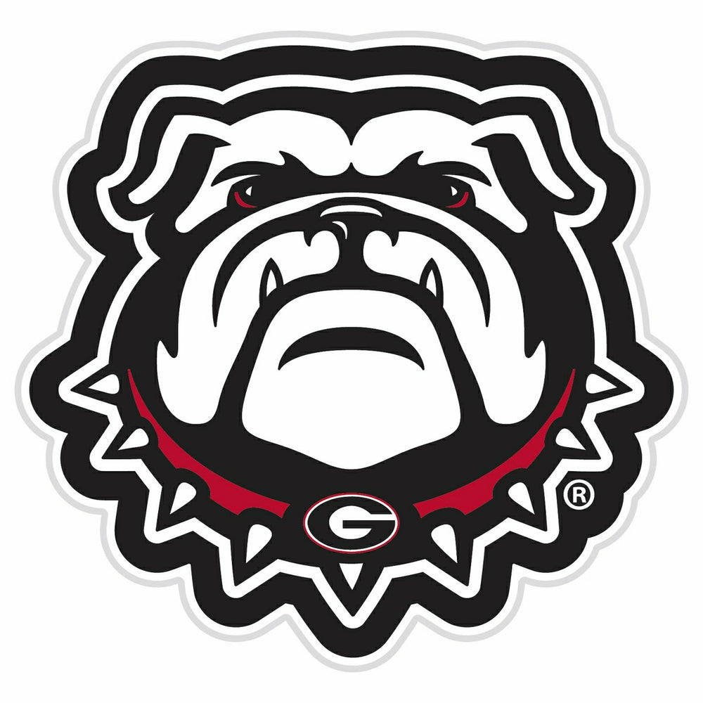 LED Wall Decor, Glazelite, College Mascot, University of Georgia