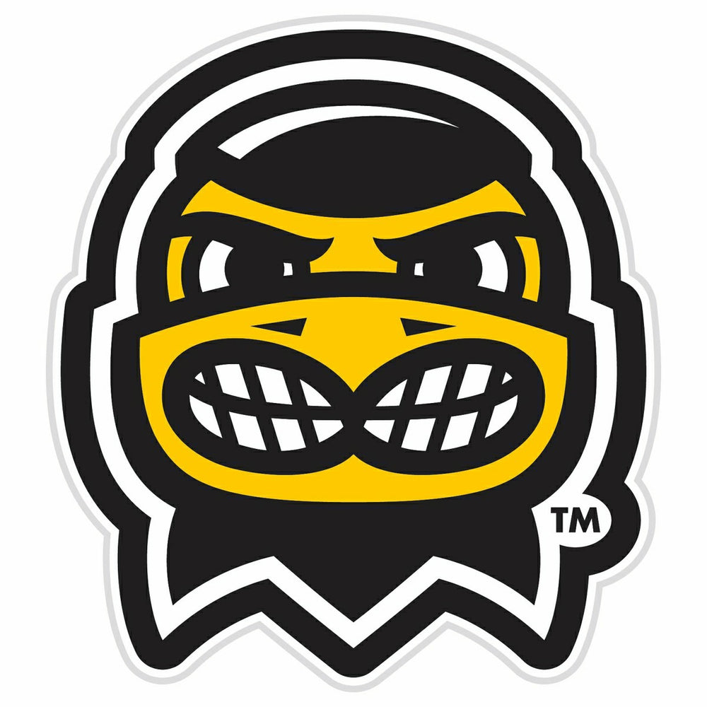 LED Wall Decor, Glazelite, College Mascot, University of Iowa