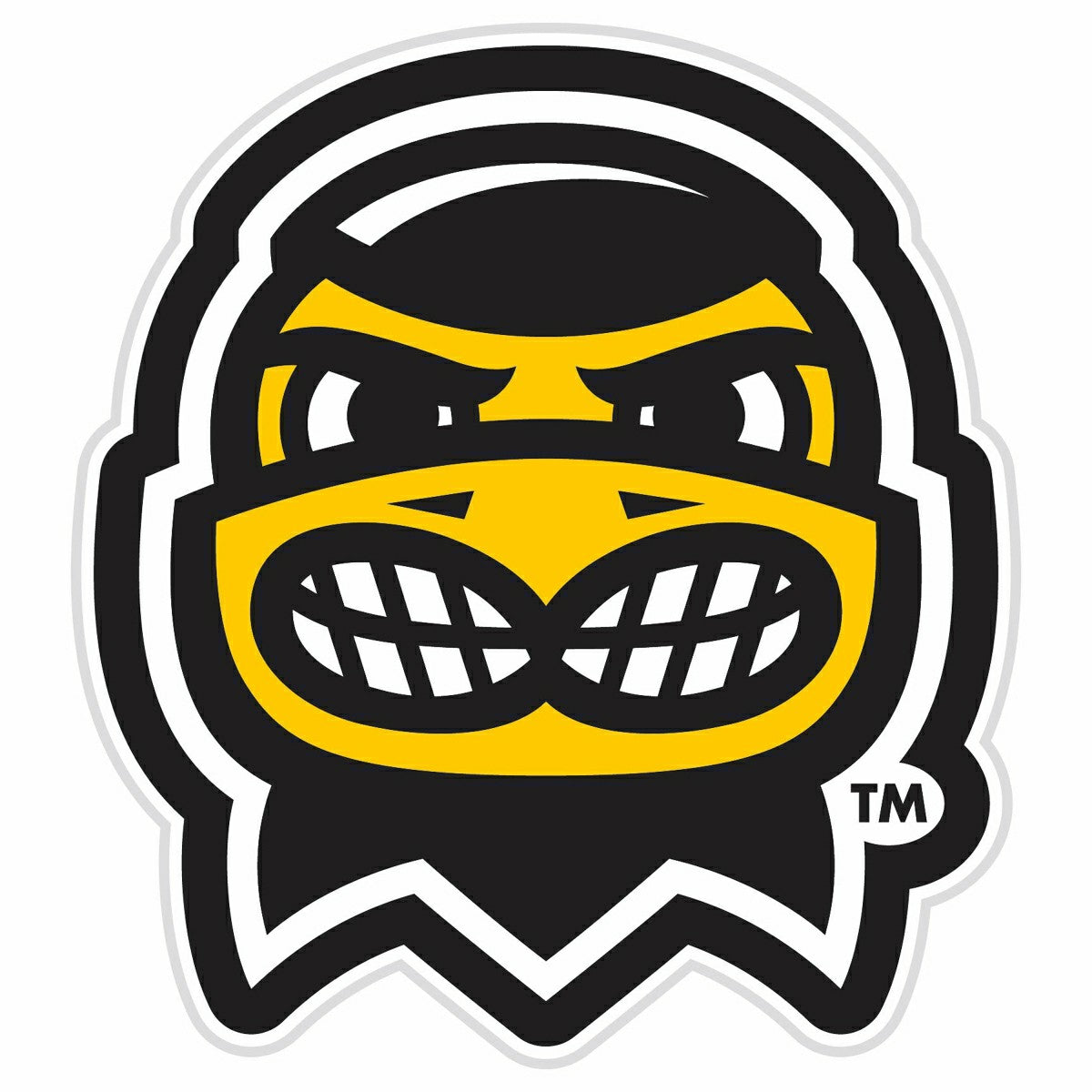 LED Wall Decor, Glazelite, College Mascot, University of Iowa