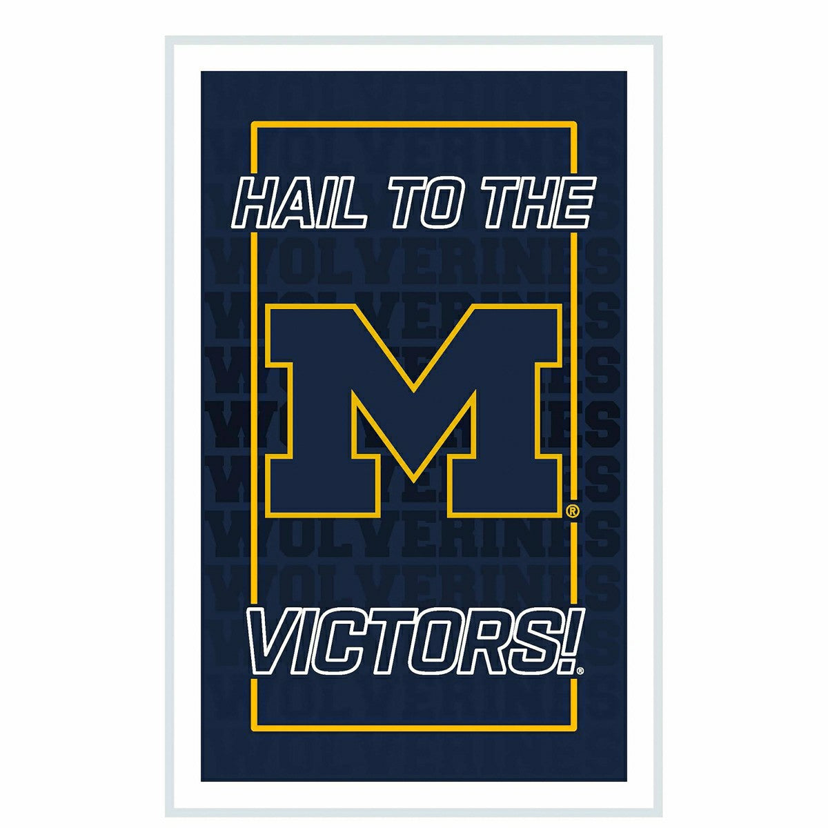 University Of Michigan College Rectangle Neolite LED Decor