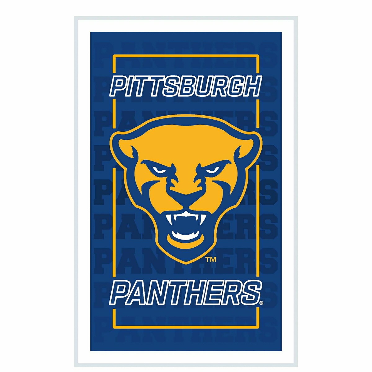 University of Pittsburgh College Rectangle Neolite LED Decor