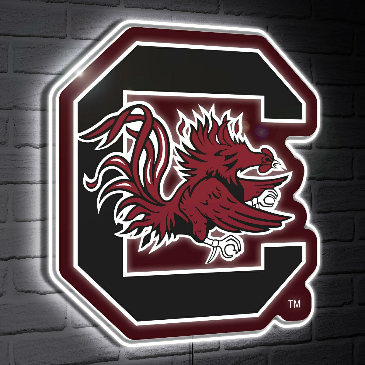 South Carolina LED Wall Decor, Glazelite, Logo