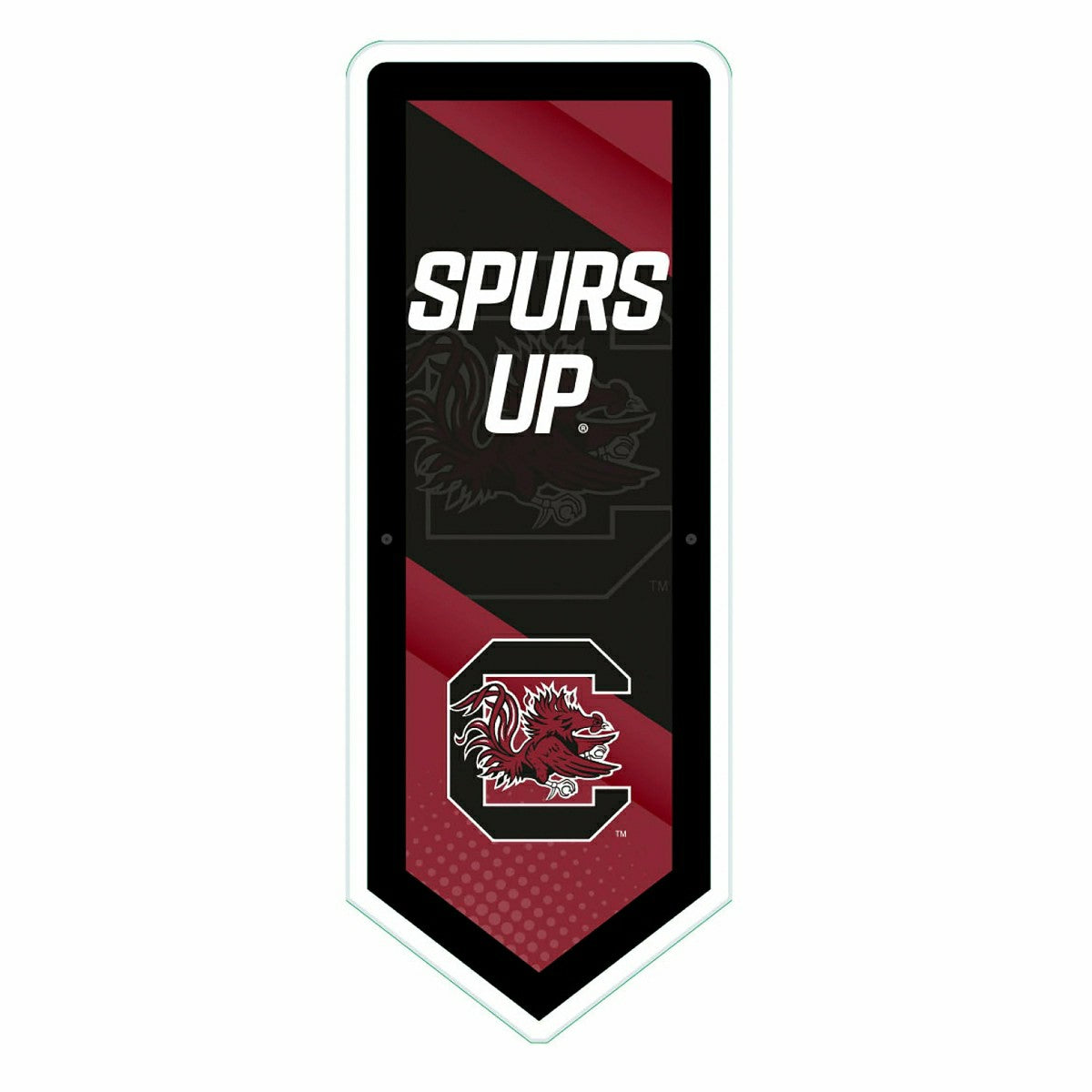 LED Wall Decor, Pennant, University of South Carolina