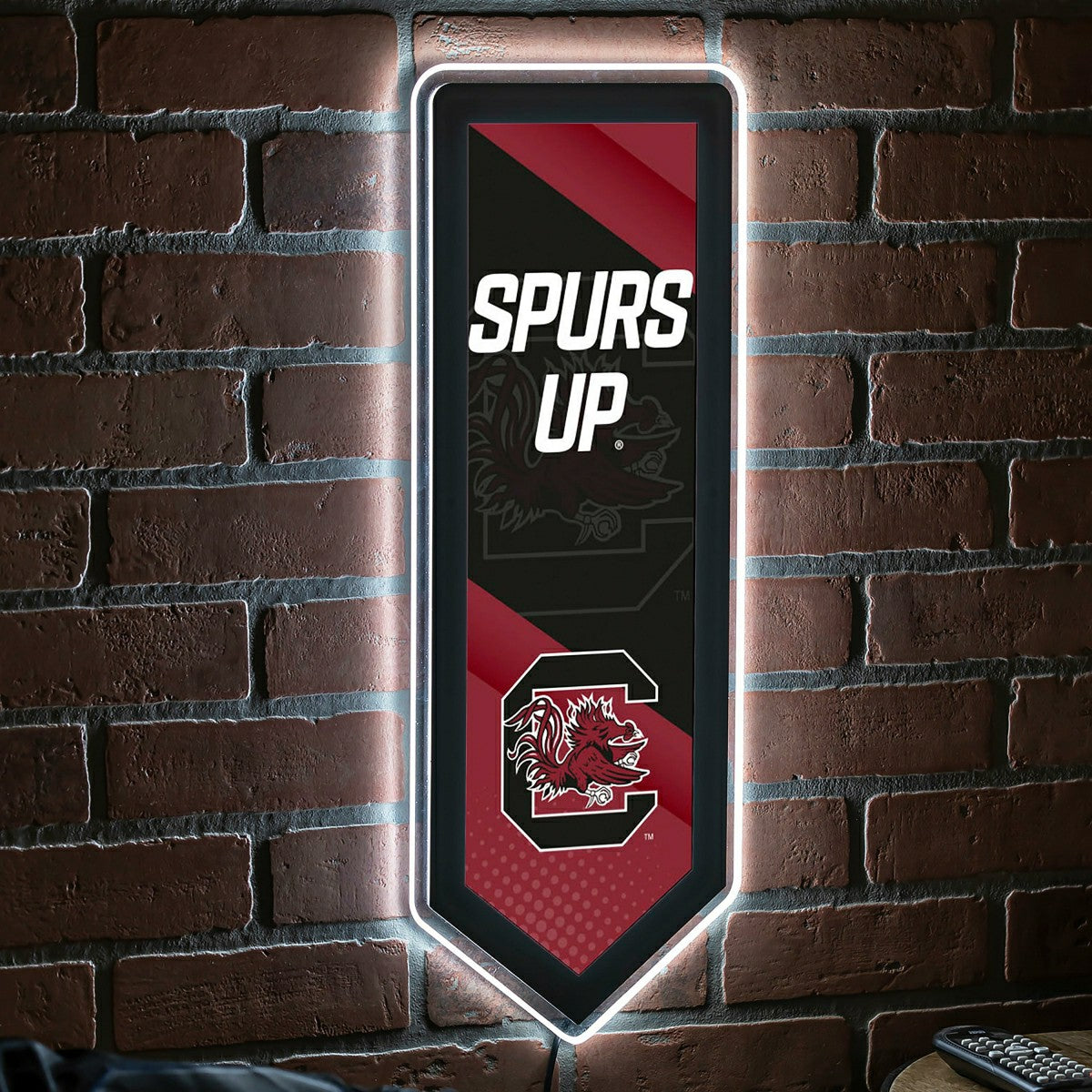LED Wall Decor, Pennant, University of South Carolina