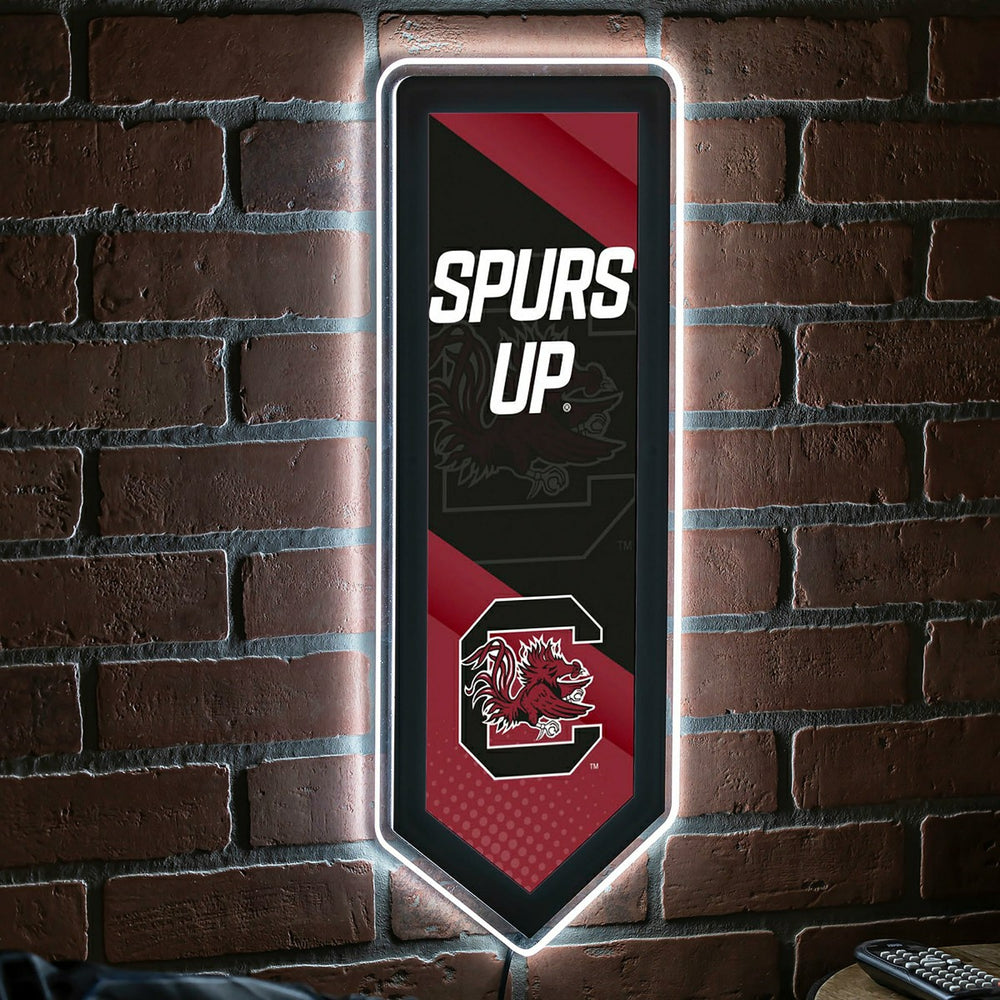 LED Wall Decor, Pennant, University of South Carolina