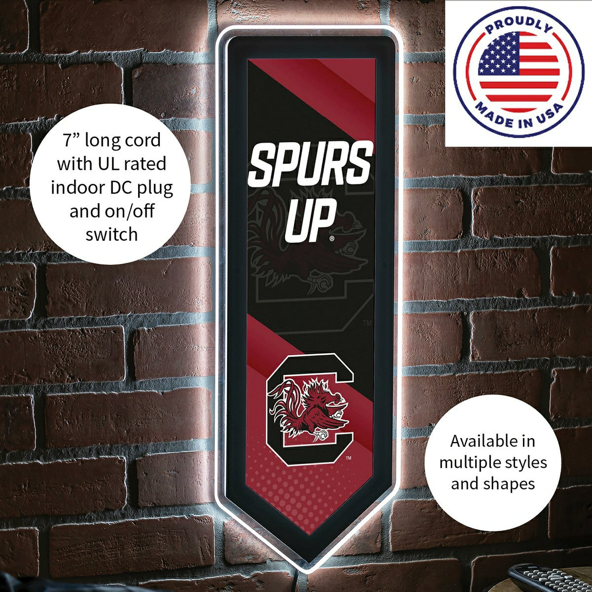 LED Wall Decor, Pennant, University of South Carolina