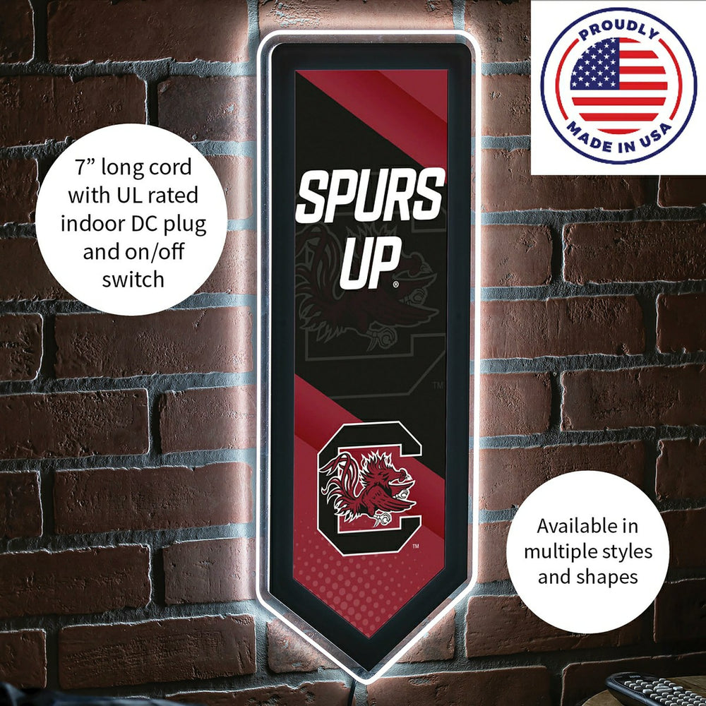 LED Wall Decor, Pennant, University of South Carolina