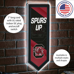 LED Wall Decor, Pennant, University of South Carolina