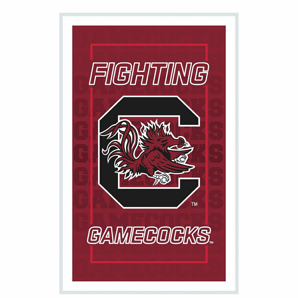 University of South Carolina College Rectangle Neolite LED Decor