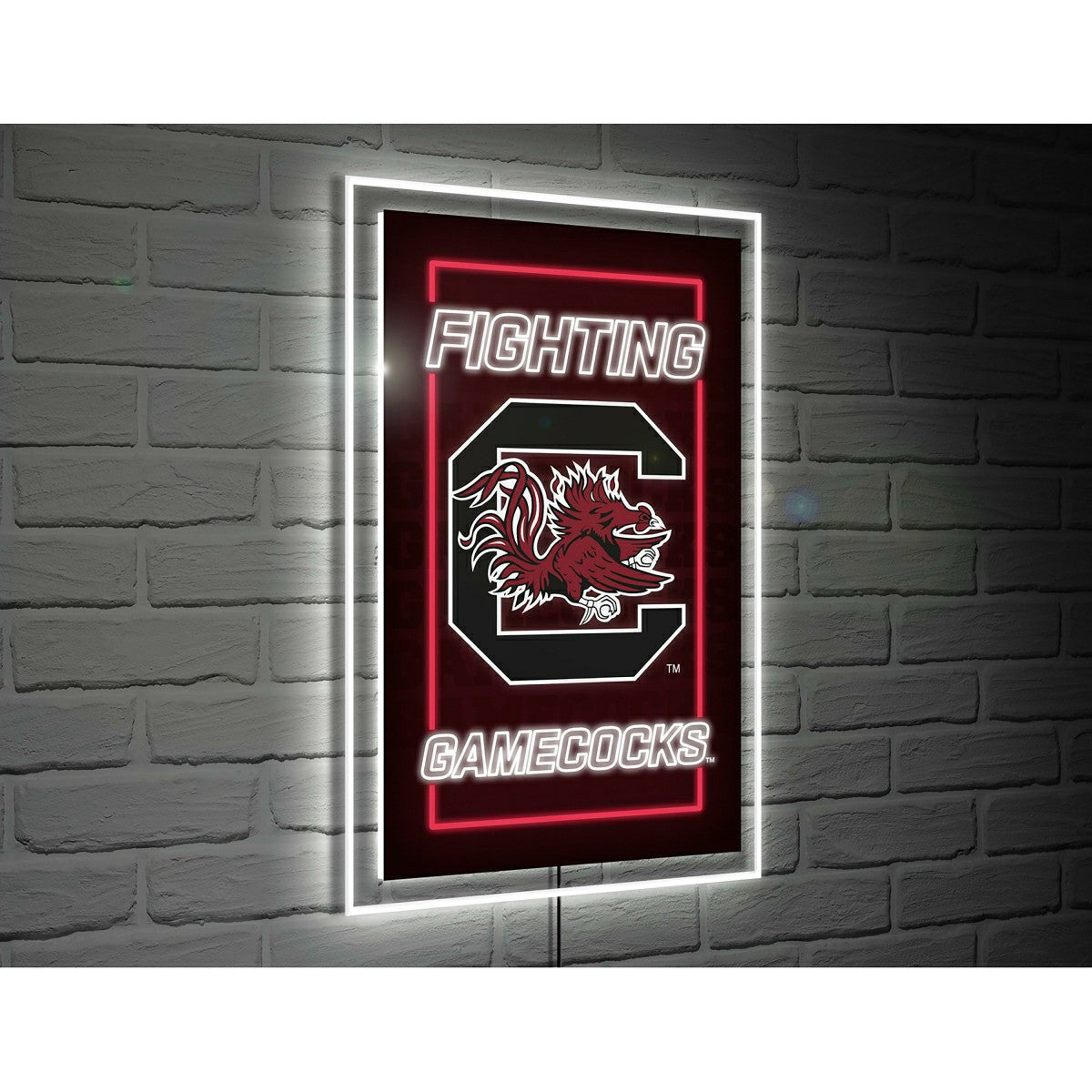 University of South Carolina College Rectangle Neolite LED Decor