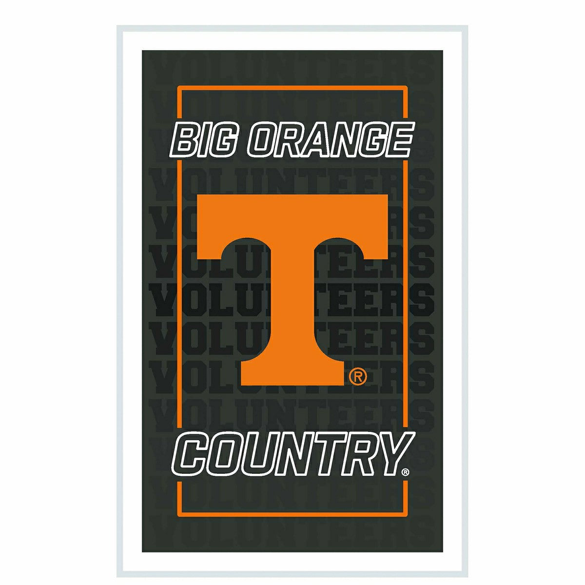 University of Tennessee College Rectangle Neolite LED Decor