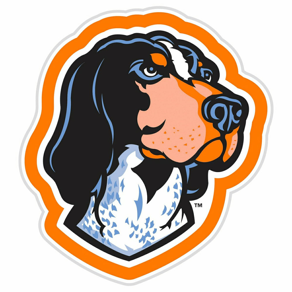 LED Wall Decor, Glazelite, College Mascot, University of Tennessee