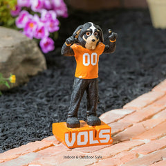 University of Tennessee, Mascot Statue