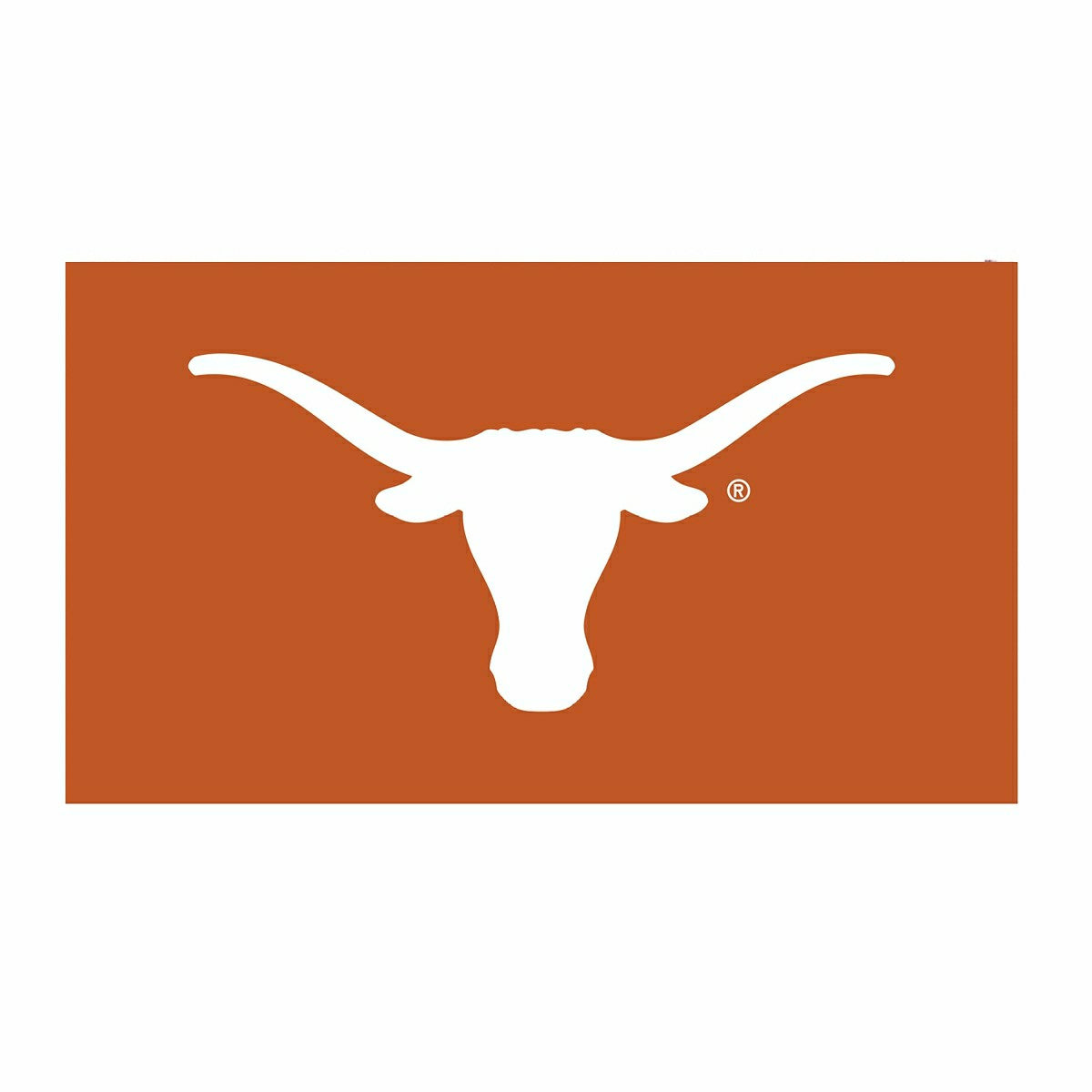 Full Color PVC Mat, 16" x 28", University of Texas