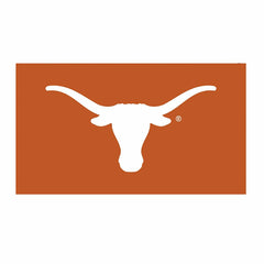 Full Color PVC Mat, 16" x 28", University of Texas