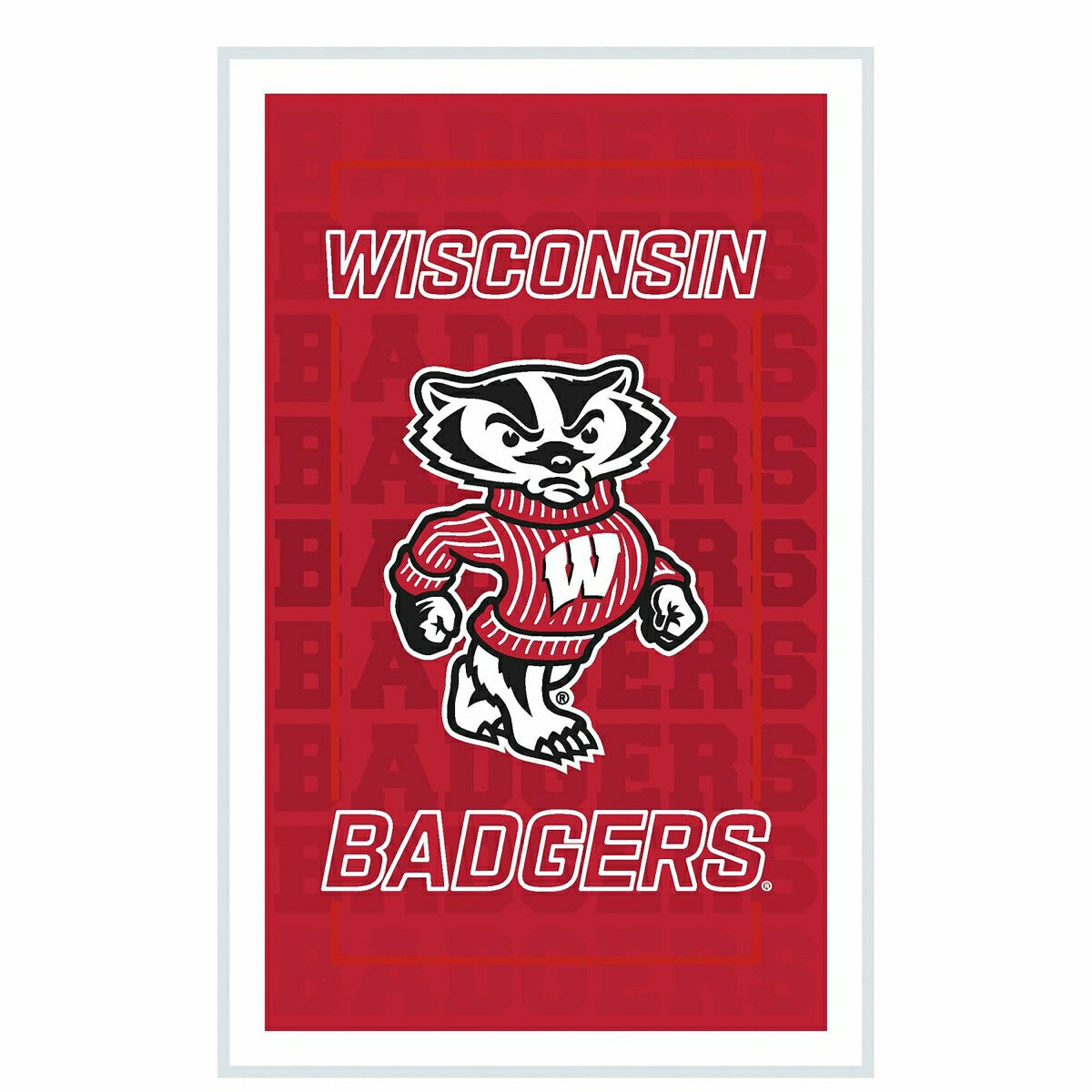 University of Wisconsin-Madison College Rectangle Neolite LED Decor